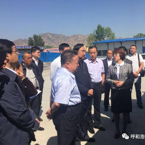 呼市金川地区最新新闻动态报道