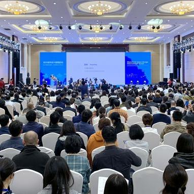 嘉兴楼市论坛深度解读,市场新动向数据揭秘