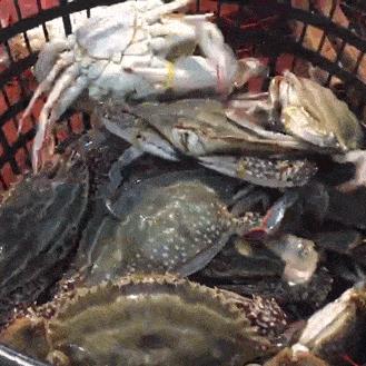 台山碧桂园最新房价走势分析