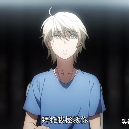 最新机甲手游，战斗体验与数据解析概览