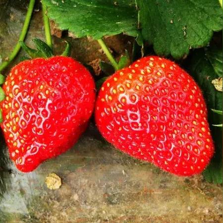 柳州正和城最新进展消息