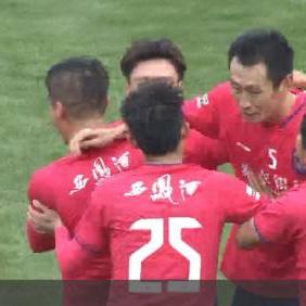 陕西淘汰鸡价格走势分析