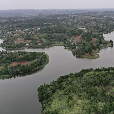 资阳中和镇最新资讯更新