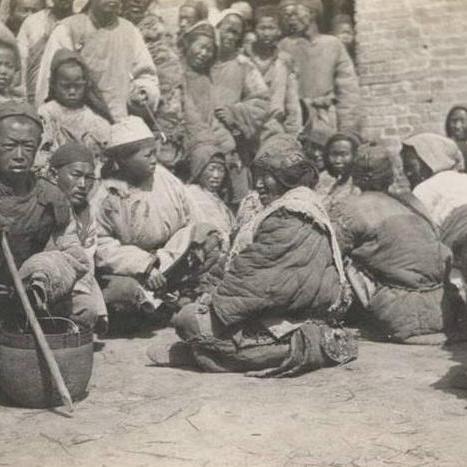 饥荒食物烹饪图表解读,最新指南