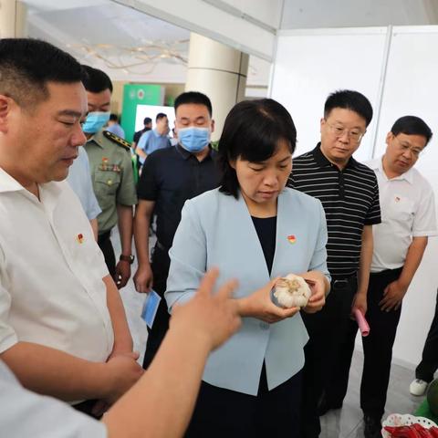 杞县苏木大蒜行情最新动态与价格分析