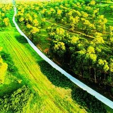 右玉县启动大规模生态绿化工程,最新新闻震撼发布!