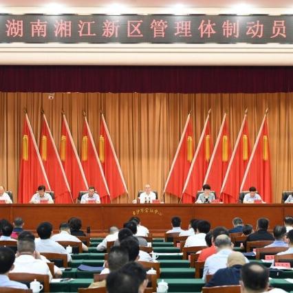 岳麓区领导班子最新名单概览