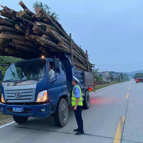 都昌最新司机招聘信息全面解析