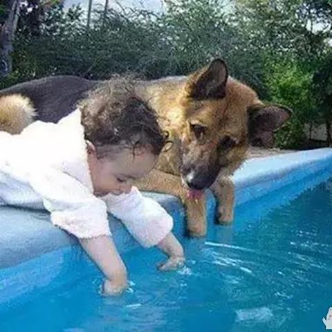 全能闲人,都市风云传奇人生最新章节