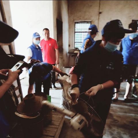 湛江国旅最新报价，探索美丽湛江之旅