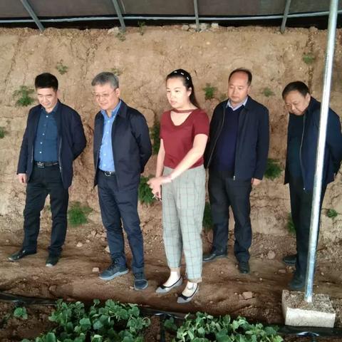 陕西能源麟游电厂最新进展揭秘