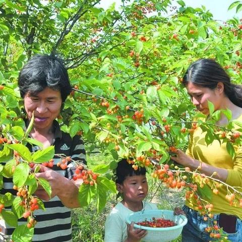 符离大道最新进展动态