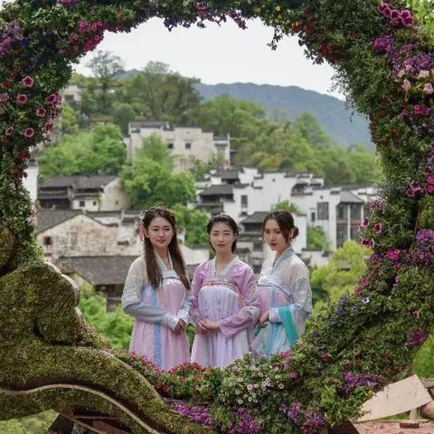 公司新闻 第210页