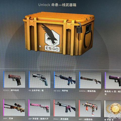 菠菜论坛发布，绿色健康饮食潮流引领新动态