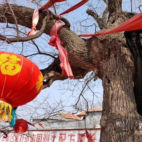 古墓发掘揭秘千年秘密,现场视频与发掘深度解析