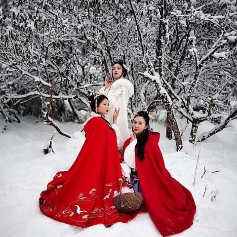 古墓发掘揭秘千年秘密,现场视频与发掘深度解析