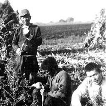 豺狼末日新作揭秘,未来生存挑战与应对策略