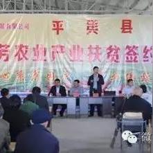 公司农户合作新模式,农业现代化新篇章开启