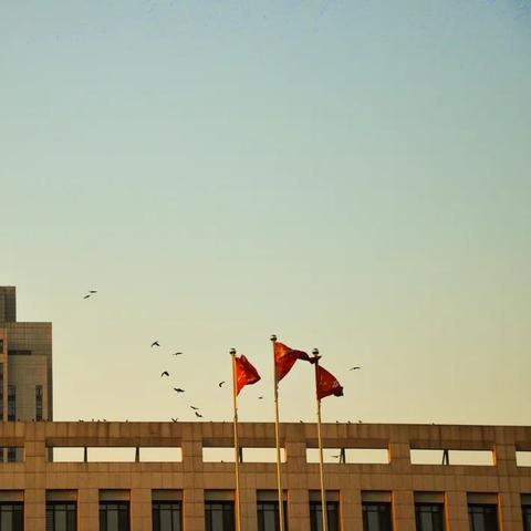 齐鲁交通集团薪酬体系深度解读