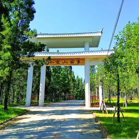 龙泉生态移民补偿方案最新解析