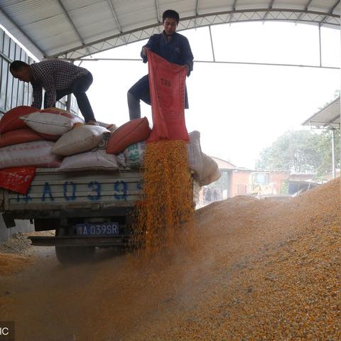 玉米淀粉价格走势最新分析