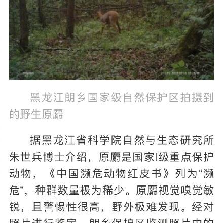 朗乡最新新闻动态速递