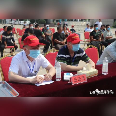 聊城西瓜，最新价值深度解析