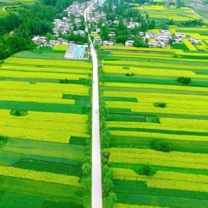 乡野春风,序章开启,田野希望盛开