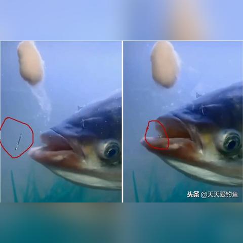 氧气雾化吸入操作指南,视频教程及注意事项