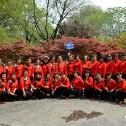 华美舞动广场舞，全民舞蹈热潮引领者