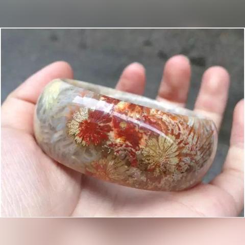 血珊瑚最新作品揭秘深海奥秘的壮丽画卷