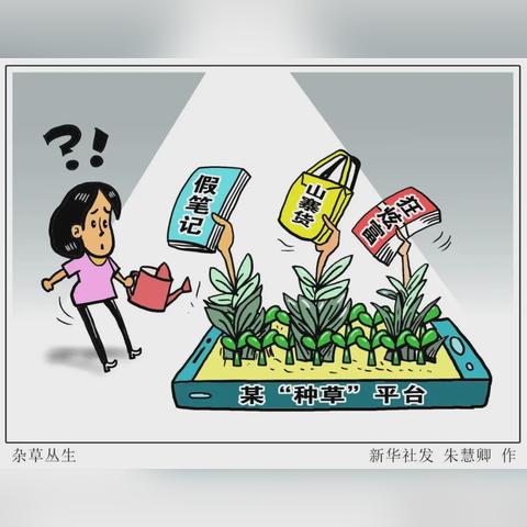 素人摄影探索，城市角落的未知之美