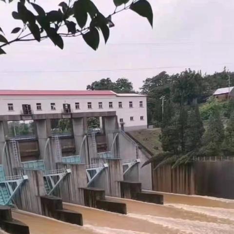 广西昭平最新新闻动态报道速递