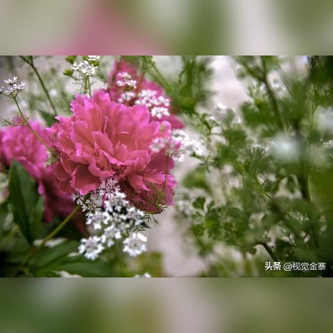 荥阳金寨村发展规划新动向