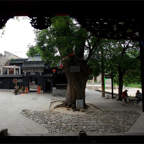 阳泉郊区新闻速递,最新报道汇总