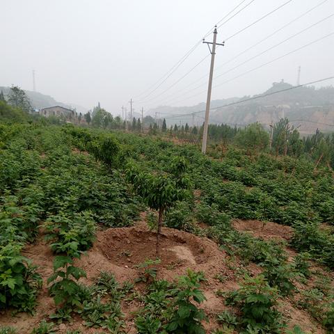 阳泉郊区新闻速递,最新报道汇总