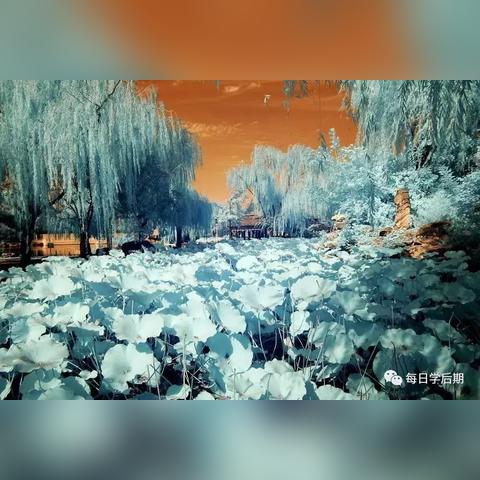 蓝白色最新小说奇幻之旅,数字时代的冒险