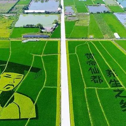 韶关乐昌大源公路最新进展，建设亮点与未来展望