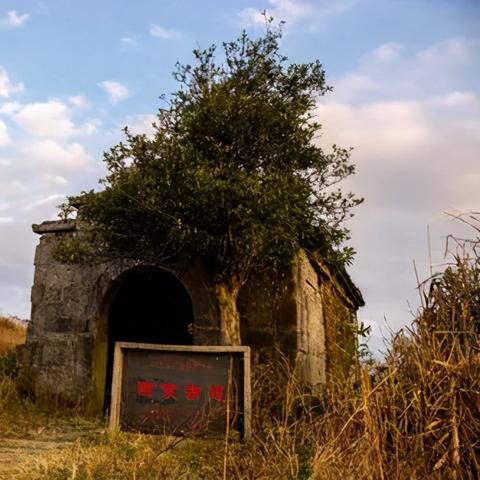 曲江新区回迁公告最新通知