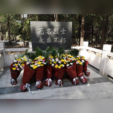 山东最新民政优抚政策文件全面解读