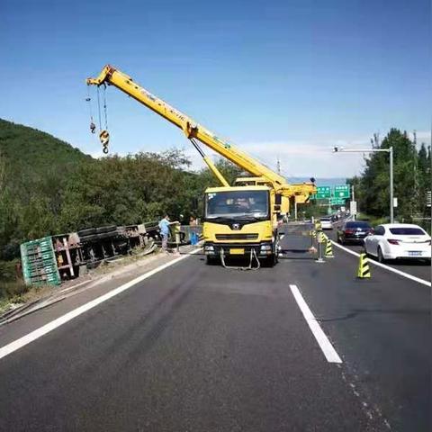 河北铁粉价格行情最新分析