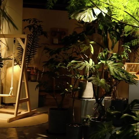 香樟店最新资讯报告速递