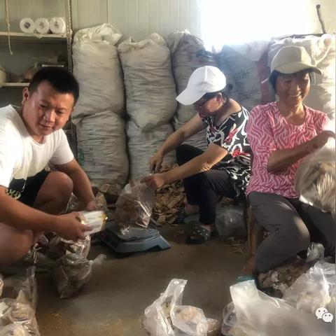 香樟店最新资讯报告速递