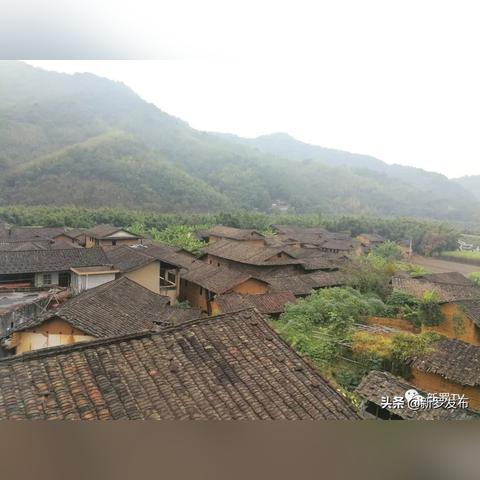 福建领导公示名单最新发布