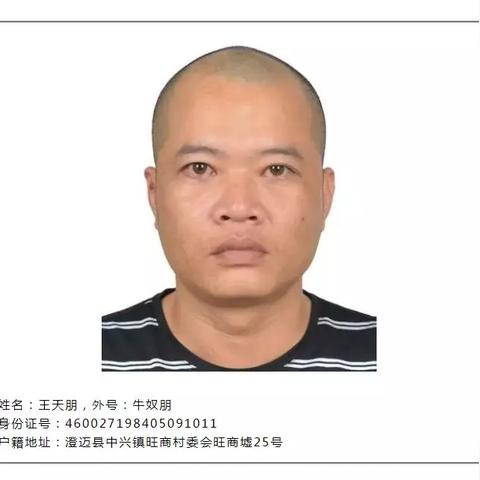 海南老城镇规划新解析