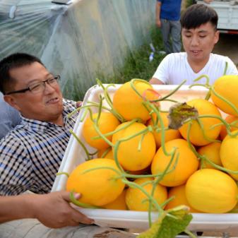 枣强门市最新出售信息