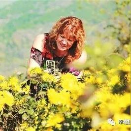 肥东盛开最新动态更新