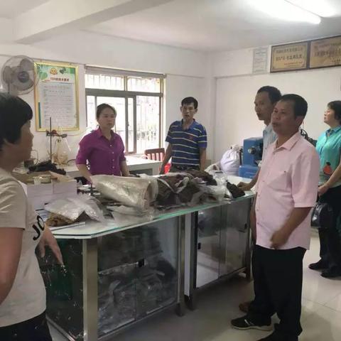 海南橡胶最新动态报道