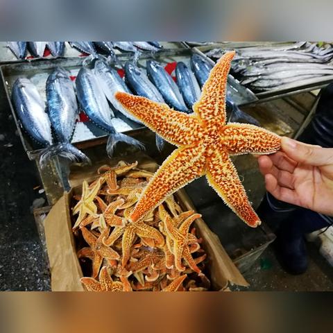 海参创新烹饪法，营养丰富的美味盛宴