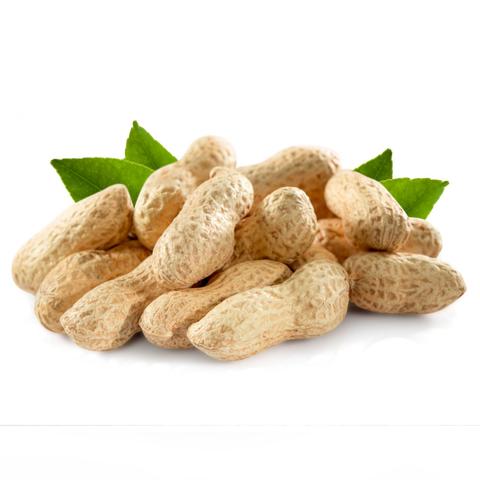 临沭大猪价格走势分析